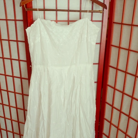 ann taylor loft white lace dress NWT Ann Taylor Loft Dotted Lace Trim Flounce Swing Dress Size:Medium